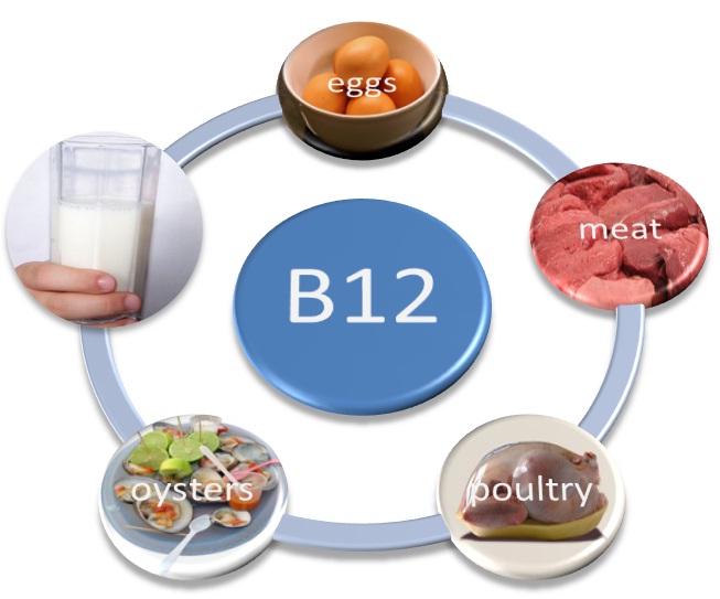 Top 5 Vitamin B12 Rich Food Sources